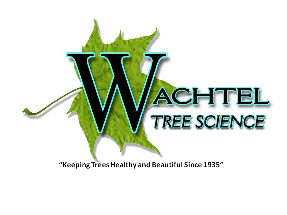 Profile Image of Pro Wachtel Tree Science Inc