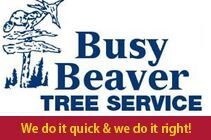 Profile Image of Pro BUSY BEAVER TREE SVC