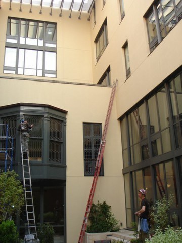 Profile Image of Pro Domino Window Cleaning